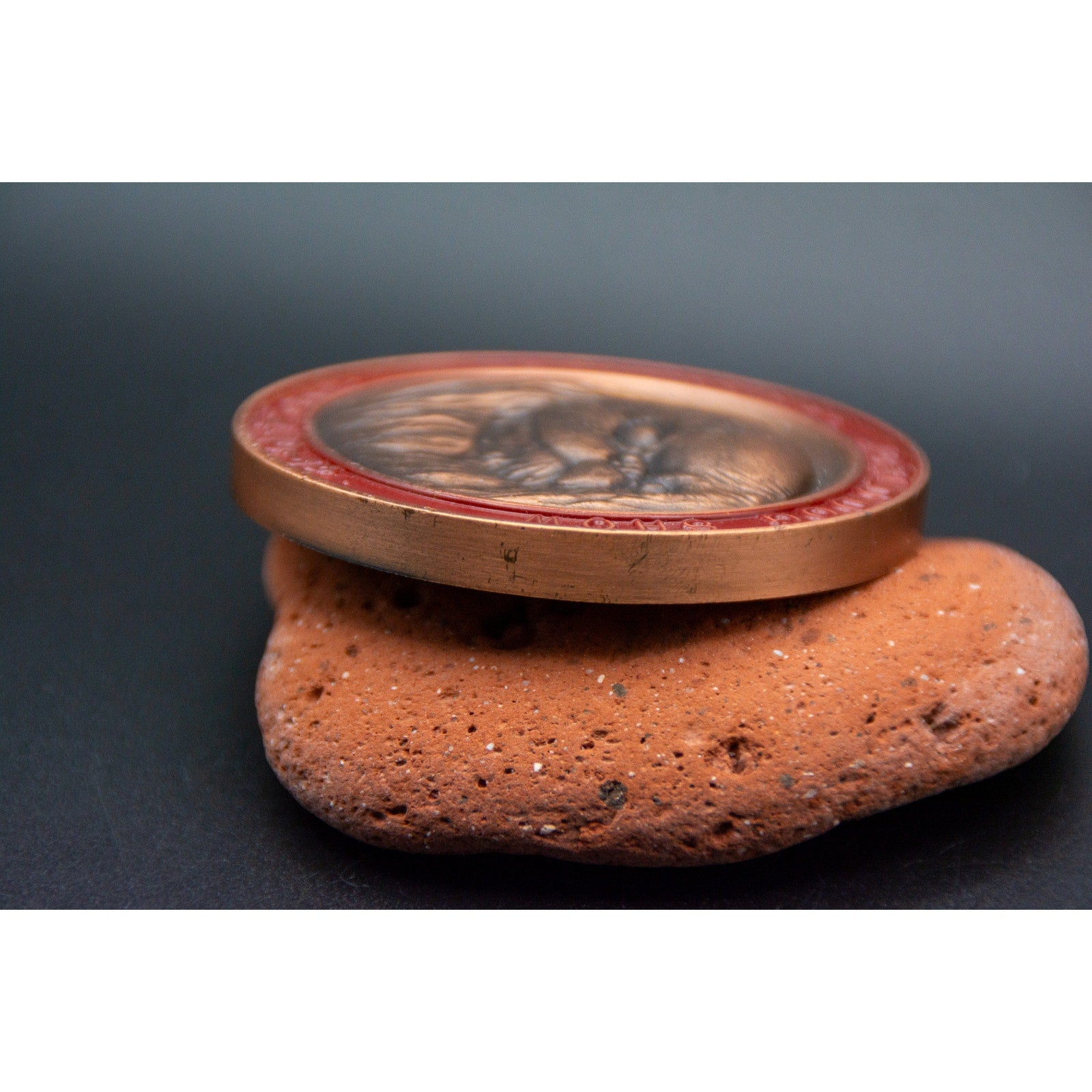 Vintage 1982 Tokyo World Dog Show FCI Japan Kennel Club Bronze Medal
