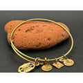 Alex and Ani Rafaelian Gold Bangle Bracelet | Compass Rose Nautical Star Charm